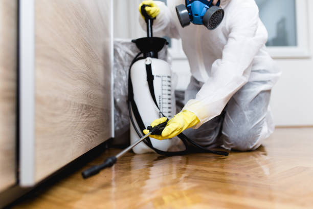 Best Pest Control Near Me  in Middletown, NY