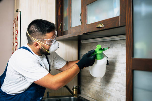 Best Ant Control Services  in Middletown, NY