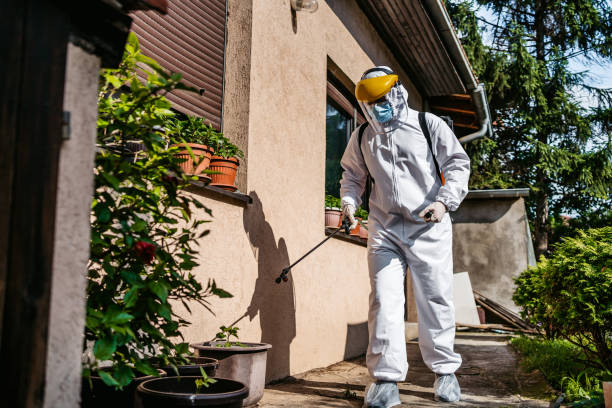 Best Termite Control Services  in Middletown, NY