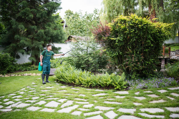 Best Affordable Pest Control Services  in Middletown, NY