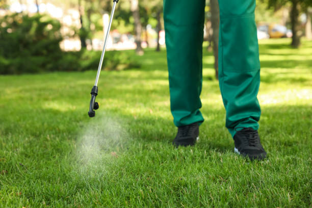 Professional Pest Control in Middletown, NY