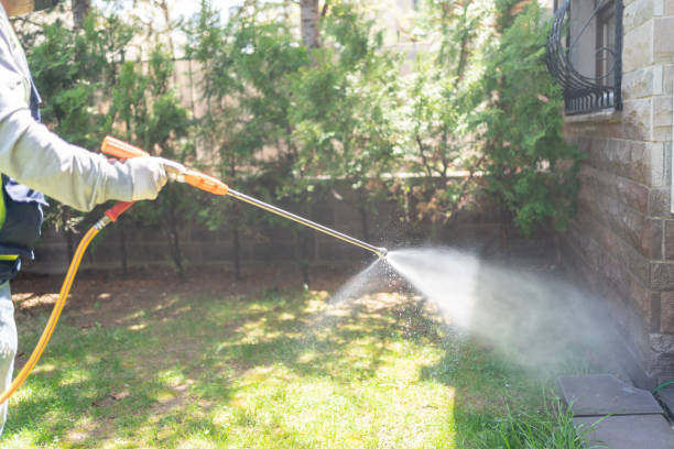 Best Mosquito Control Services  in Middletown, NY