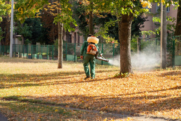Best Rodent Control Near Me  in Middletown, NY