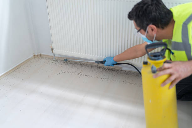 Best Pest Control for Businesses  in Middletown, NY